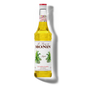 Monin Agaave Syrup , 700 Ml